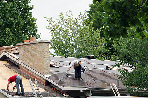 Best Roof Gutter Cleaning  in Fairfield Bay, AR